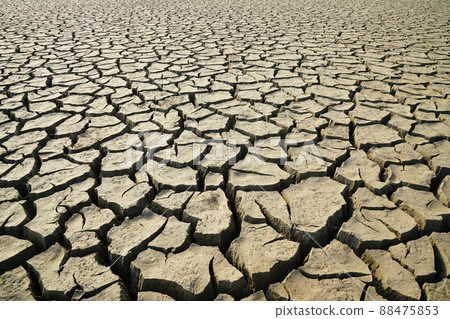 破碎的土地 88475853