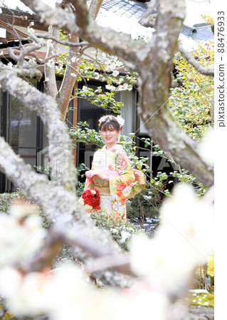 Adult furisode location shooting in a Japanese garden, a cute Japanese woman in a pale furisode Adult furisode location shooting in a Japanese garden, a cute Japanese woman in a pale furisode 88476933