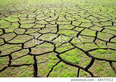 破碎的土地 破碎的土地 88477012