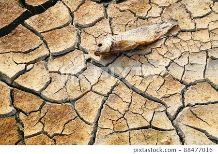 乾旱 乾旱 88477016