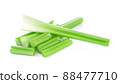 fresh celery isolated on a white background. 88477710
