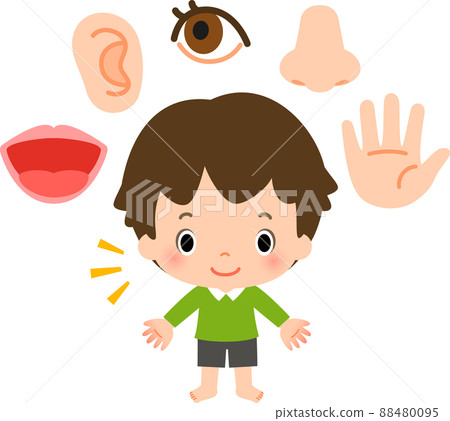 Five senses icons and boys 88480095