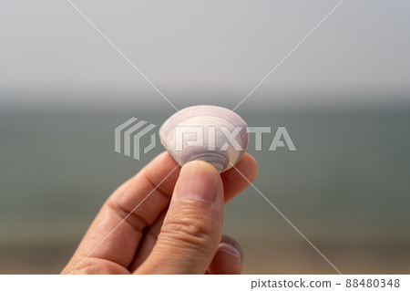 A man holding a white shell with the sea in the background A man holding a white shell with the sea in the background 88480348