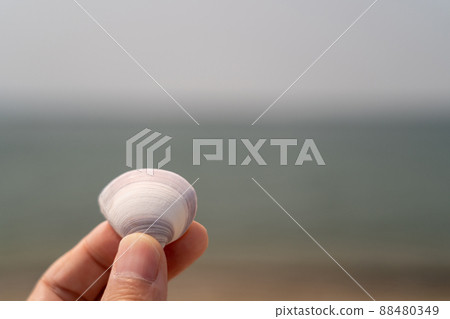 一個拿著白色貝殼的男人，背景是大海 88480349