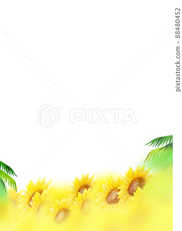 仲夏向日葵背景素材 仲夏向日葵背景素材 88480452