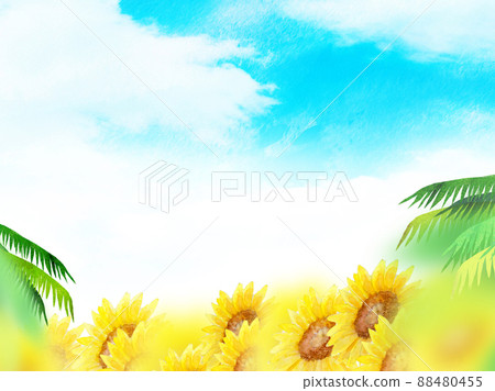 仲夏向日葵背景素材 88480455