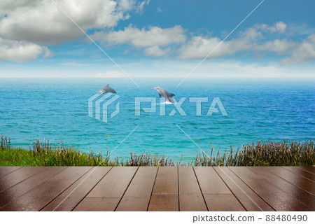 Top of wood table with sea and two dolphin background - Empty ready for your product display montage. Concept of beach in summer Top of wood table with sea and two dolphin background - Empty ready for your product display montage. Concept of beach in summer 88480490