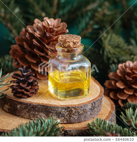 Glass bottle with conifer essential oil near fir branches and pine cones on green close up 88480610