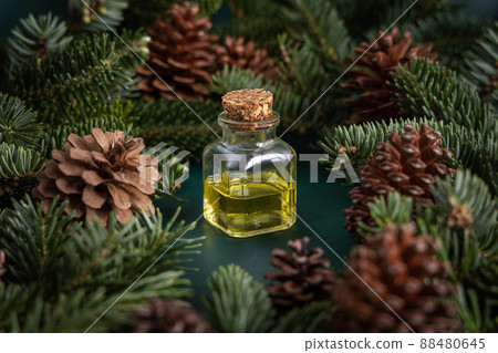 Glass bottle with conifer essential oil between fir branches and pine cones on green close up Glass bottle with conifer essential oil between fir branches and pine cones on green close up 88480645