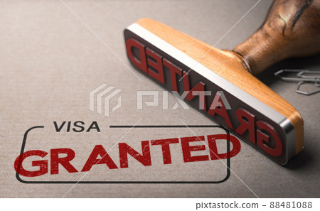 Visa granted. Immigration concept. 88481088