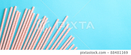 環保吸管 紙吸管 環保 吸管 紙 可以再度使用的 reusable straw ガラスストロー 88481169