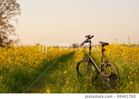 Cycling bicycle mini velo Cycling bicycle mini velo 88481768