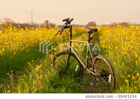 自行車自行車迷你 velo 自行車自行車迷你 velo 88481814