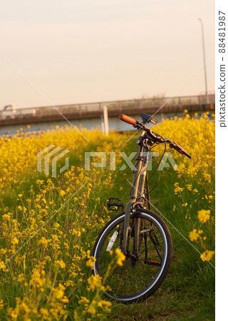 Cycling bicycle mini velo Cycling bicycle mini velo 88481987