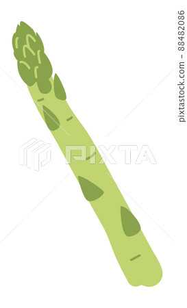 Asparagus icon. Cute healthy diet green stalk 88482086