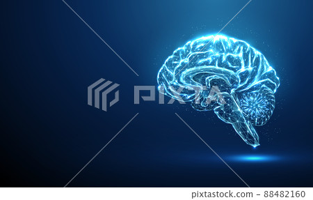 Scheme of parts of humain brain. Brain anatomy. Scheme of parts of humain brain. Brain anatomy. 88482160