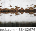 Winter Lake 88482676