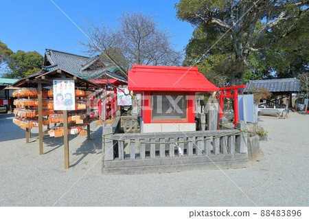 [香川縣]早春的瀧宮天滿宮（學神） 88483896