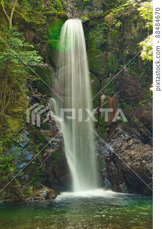 夏季有馬溫泉的Tsuzumigataki瀑布 88484670