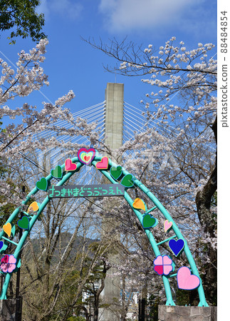 大阪池田小月山動物園 大阪池田小月山動物園 88484854