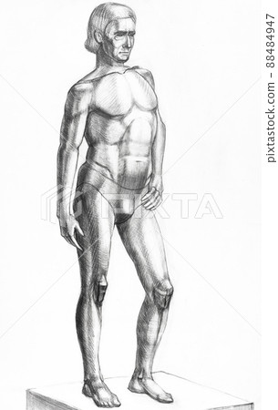 full length portrait of sitter drawn by pencil 88484947