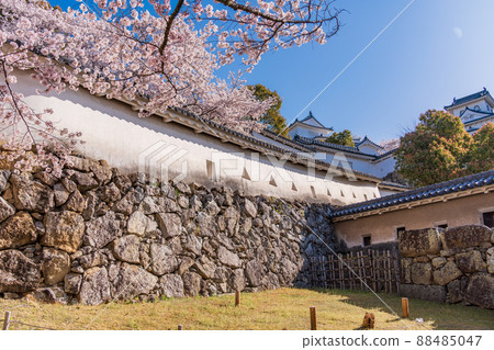 （兵庫縣）姬路城，武士，武士，櫻花盛開 88485047