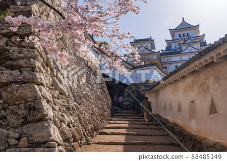 (Hyogo Prefecture) Himeji Castle, Hishimon, Sakura in full bloom (Hyogo Prefecture) Himeji Castle, Hishimon, Sakura in full bloom 88485149
