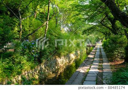 Sakyo Ward, Kyoto City Fresh Green Philosophy Road 88485174