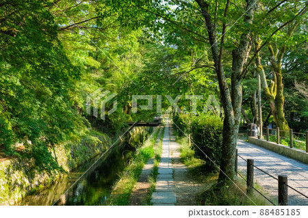 京都市左京區新鮮綠色哲學路 88485185