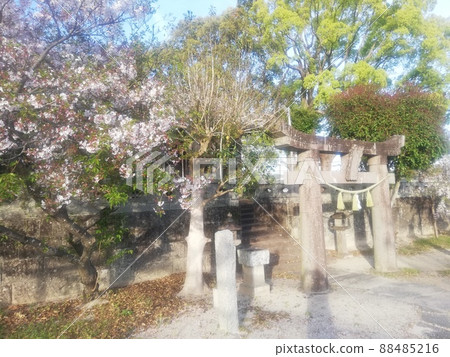 神社 88485216