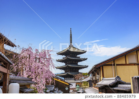 八坂塔和盛開的櫻花[2022年春季京都] 88485979