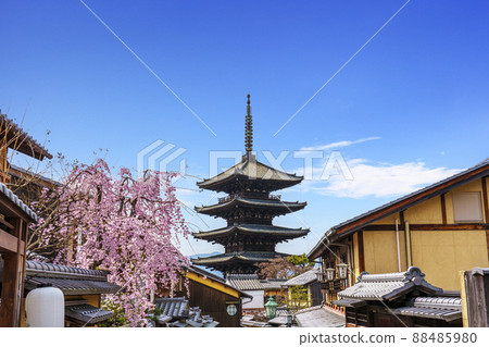八坂塔和盛開的櫻花[2022年春季京都] 88485980
