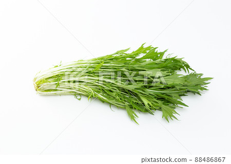 水菜白色背景 88486867