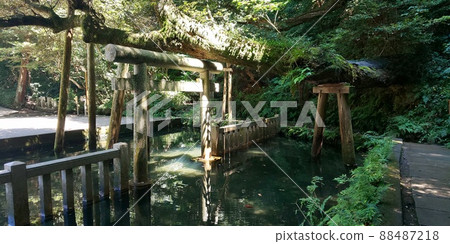 浮在水面上的神社牌坊 浮在水面上的神社牌坊 88487218