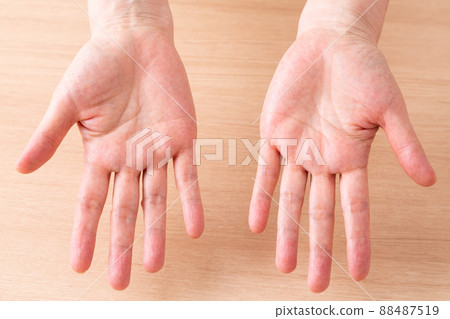 Middle woman's palm 88487519