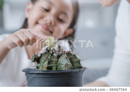 Mother and daughter decorating the house with air purifying trees. 88487564