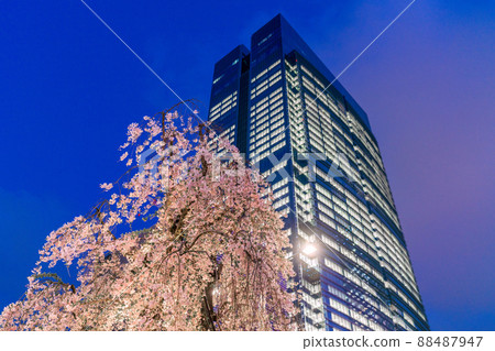 Tokyo cityscape of Japan Overlooking Tokyo Midtown Yaesu and weeping cherry trees in front of Tokyo station = April 7 88487947