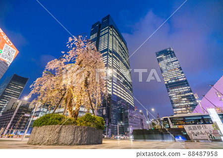 日本東京城市景觀俯瞰東京中城八重洲和東京站前的垂枝櫻花 = 4 月 7 日 日本東京城市景觀俯瞰東京中城八重洲和東京站前的垂枝櫻花 = 4 月 7 日 88487958