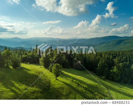 hillside of mountain range with coniferous forest and meadow in morning light 88488231