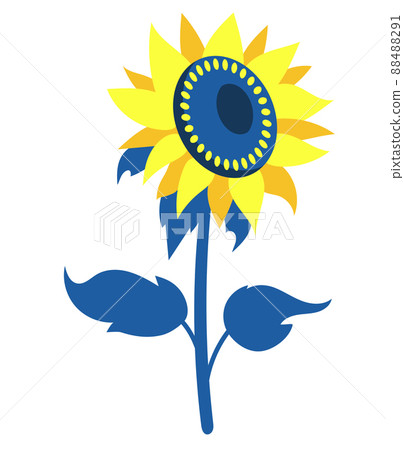 Yellow blue sunflower. Beautiful flowering plant with leaves. Vector illustration. Colors of Ukrainian flag. trendy plant For design, decor and decoration. Yellow blue sunflower. Beautiful flowering plant with leaves. Vector illustration. Colors of Ukrainian flag. trendy plant For design, decor and decoration. 88488291