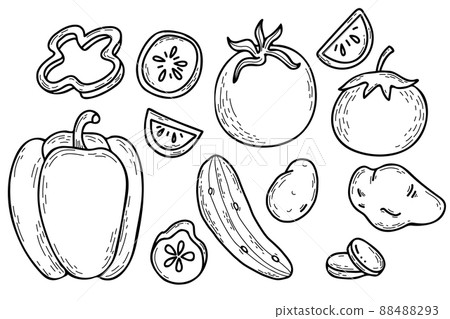 Set of vector hand drawn vegetables. Potatoes, peppers, cucumber and tomatoes. Whole vegetables and cut pieces. Vector illustration. Linear hand drawn doodle style for design, decor and decoration. Set of vector hand drawn vegetables. Potatoes, peppers, cucumber and tomatoes. Whole vegetables and cut pieces. Vector illustration. Linear hand drawn doodle style for design, decor and decoration. 88488293