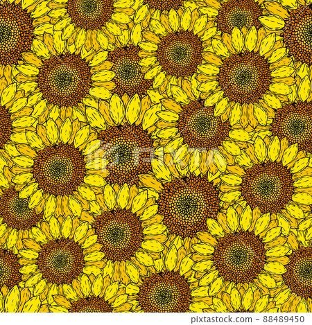 Seamless pattern with yellow hand drawn sunflowers-插圖素材 [88489450 ...