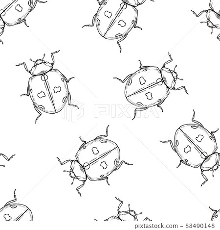 Seamless pattern of monochrome ladybugs illustration. Vector illustration template 88490148