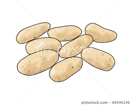 Make-in (potato) 88490246