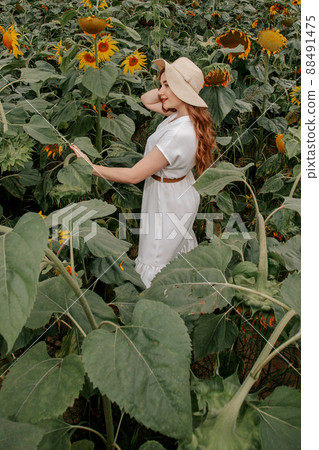 Beauty joyful woman with sunflower enjoying nature and laughing on summer sunflower field. Beautiful young woman in a field of sunflowers in a white dress. 88491475