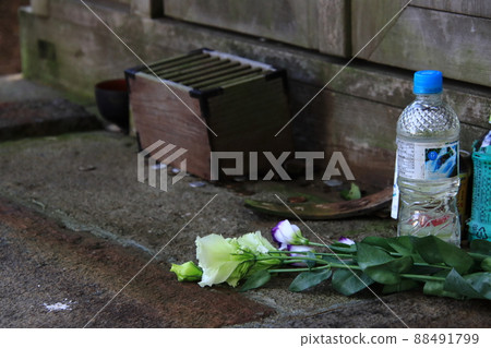 Toho Shrine's offering box [at Narita Airport Toho Shrine, Narita City, Chiba Prefecture] 88491799