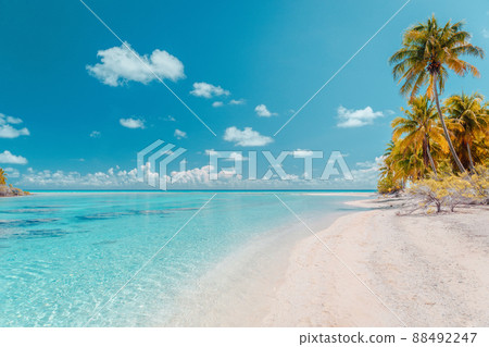 Beach paradise travel vacation tropical getaway in Rangiroa atoll, Tuamotu islands, French Polynesia. Tahiti honeymoon destination with idyllic pristine ocean crystal clear turquoise water Beach paradise travel vacation tropical getaway in Rangiroa atoll, Tuamotu islands, French Polynesia. Tahiti honeymoon destination with idyllic pristine ocean crystal clear turquoise water 88492247