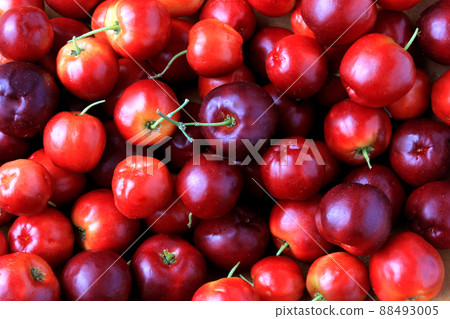 macro, closeup of fresh organic Acerola group. juicy and selected fruits 88493005