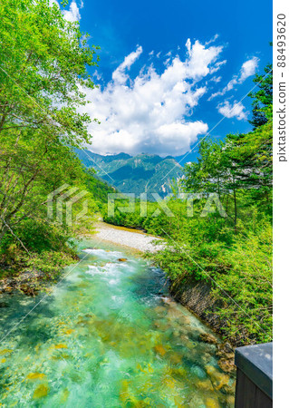 Kamikochi in summer Azusa River [Nagano Prefecture] 88493620
