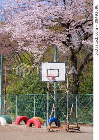 Basket Hoop basketball school playground 88493696